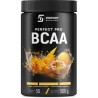 Insport Nutrition BCAA PERFECT PRO 500g