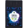 EcoBlik Herbata SENCHA 100g