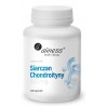 Aliness Siarczan Chondroityny 500mg 100 kapsułek