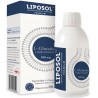 LIPOSOL Liposomalny L-Glutation 500mg 250ml smak cytrynowy