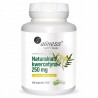 Aliness Naturalna Kwercetyna 250MG 100 vege kaps